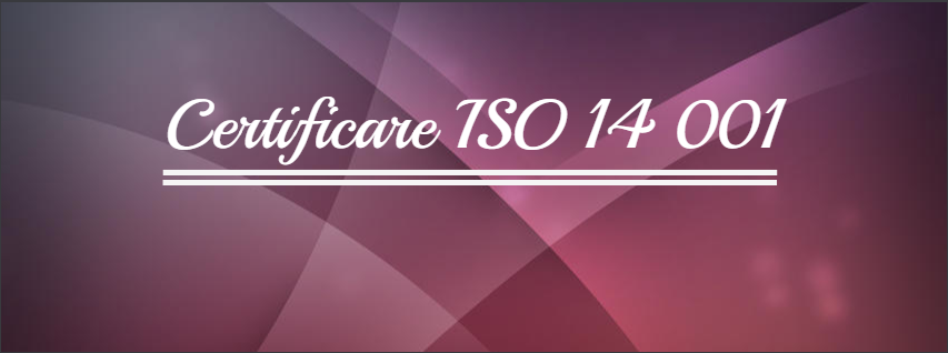 Ce este standardul iso 14001?